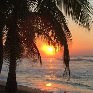 Meet your Posher, Louise